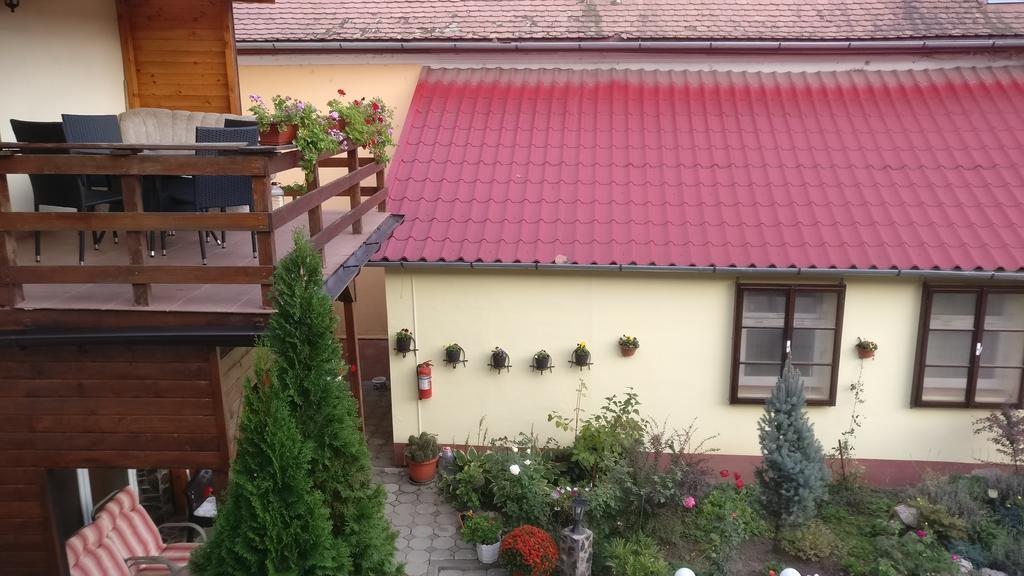 Pensiunea Liana Nemsa 外观 照片