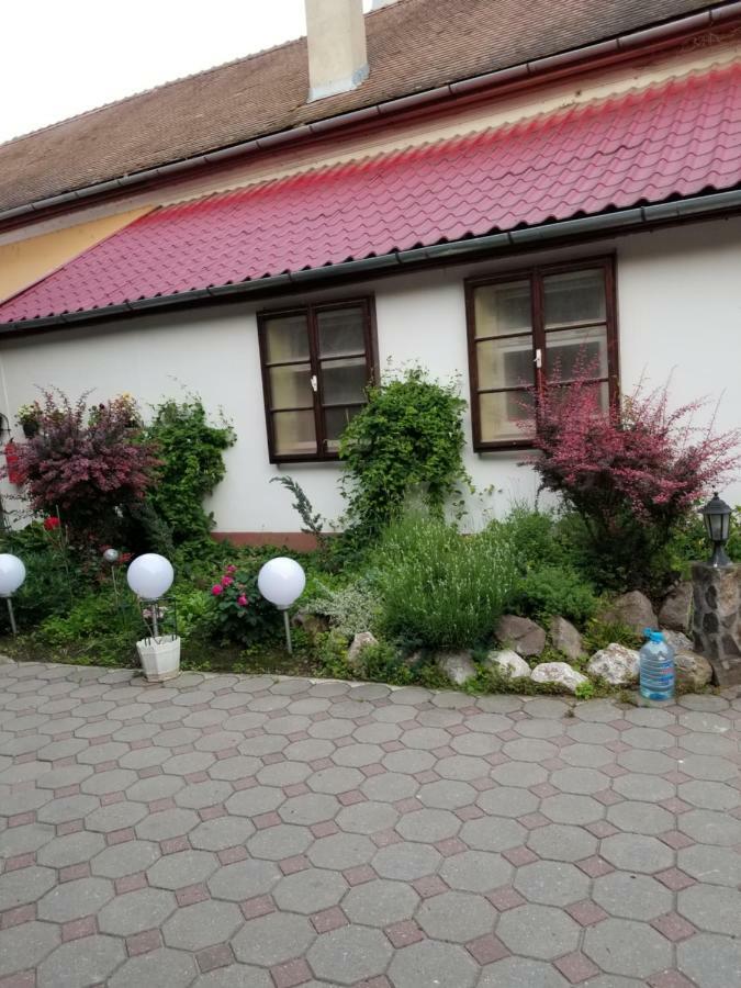 Pensiunea Liana Nemsa 外观 照片