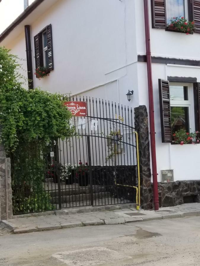 Pensiunea Liana Nemsa 外观 照片